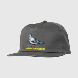 Antihero Cap - Lil Pigeon - Charcoal Yellow