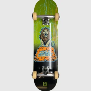 Wallstreet Complete Kids - Lion - 7.5"