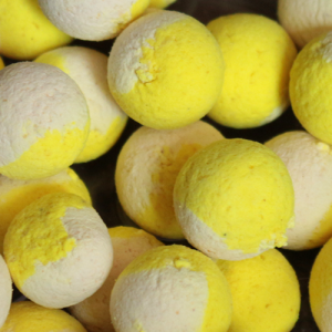 Pop Up Bicolore Squid Garlic