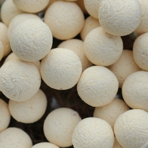 Fluo Pop Up White Dream